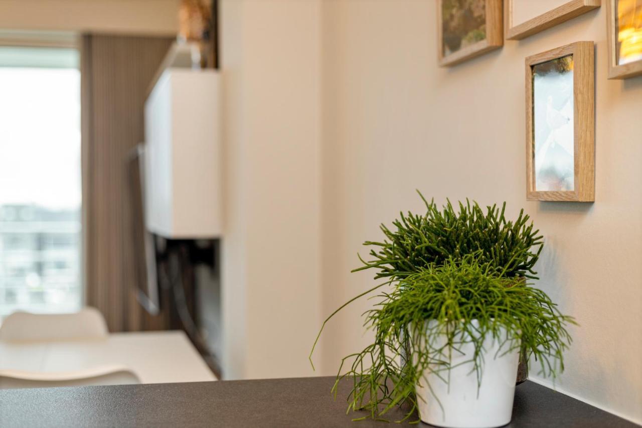 Ruim Appartement Aan De Jachthaven Blankenberge Eksteriør billede